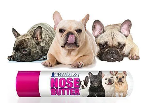 Bulldog crusty best sale nose