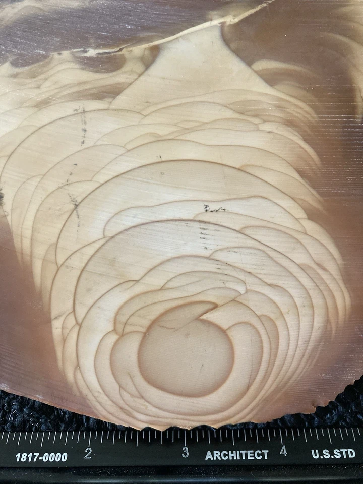 Bruneau Jaspe Corte Extremo Áspero 7.6 Onzas Cantidad Insana de Orbing - Extremadamente Raro Foto 2 de 4