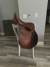 17in Steuben Siegfried ￼