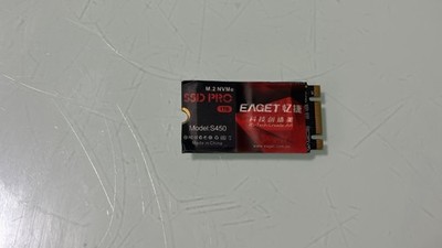 EAGET S450 1TB M.2 NVMe SSD (2242 Formfaktor) 