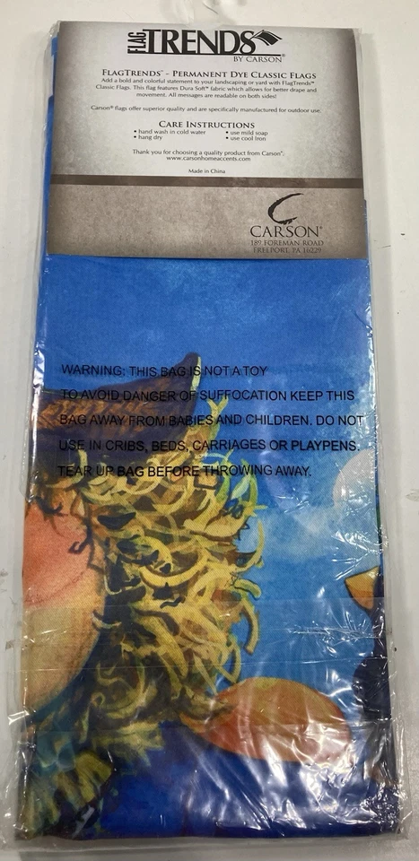 Espantapájaros Otoño Casa Bandera Halloween Fiesta Decoración Calabaza Pájaro Negro Granja Rústico Foto 3 de 4