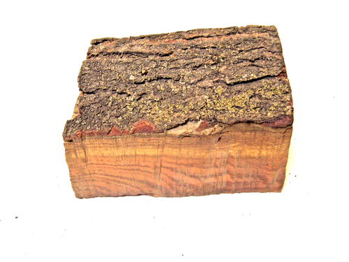 Ash Wood blank 7" x 4" x 3.5" with Natural Edge #wx - Picture 2 of 5