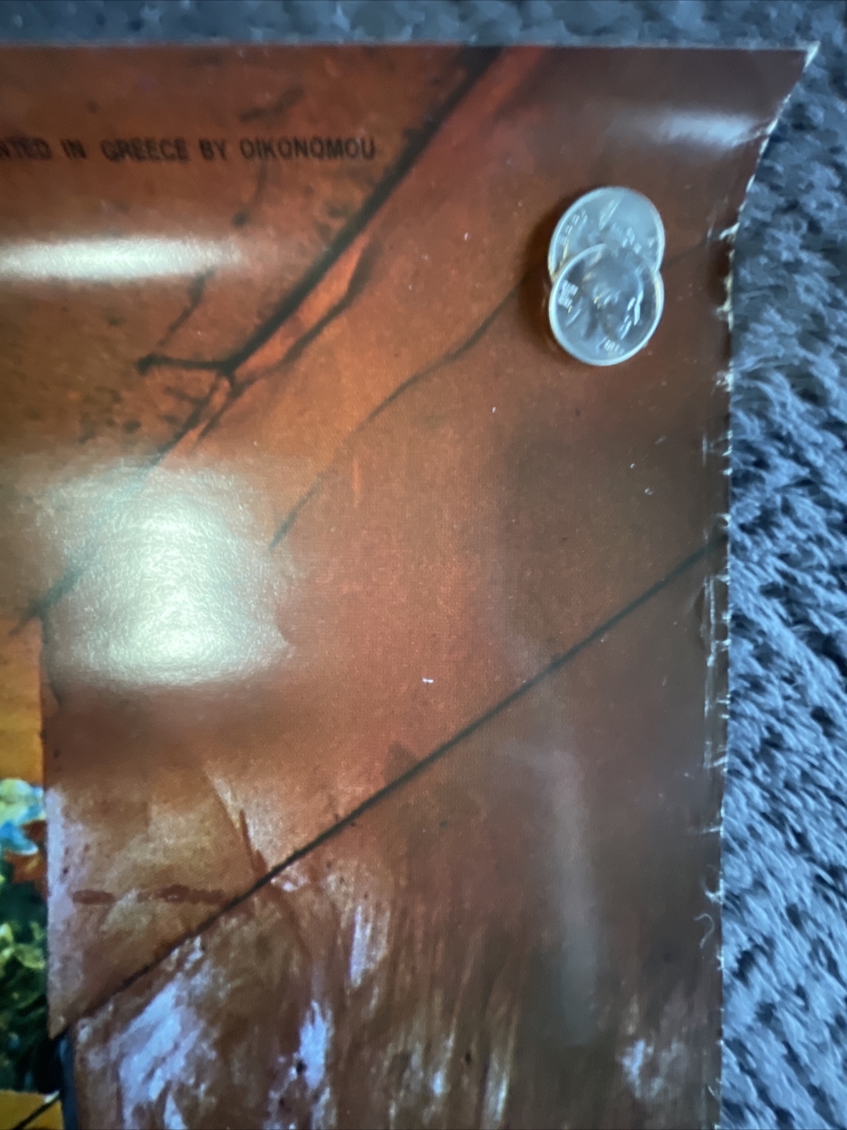 Picture 6 of 14