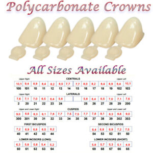 Polycarbonate Crown Size Chart