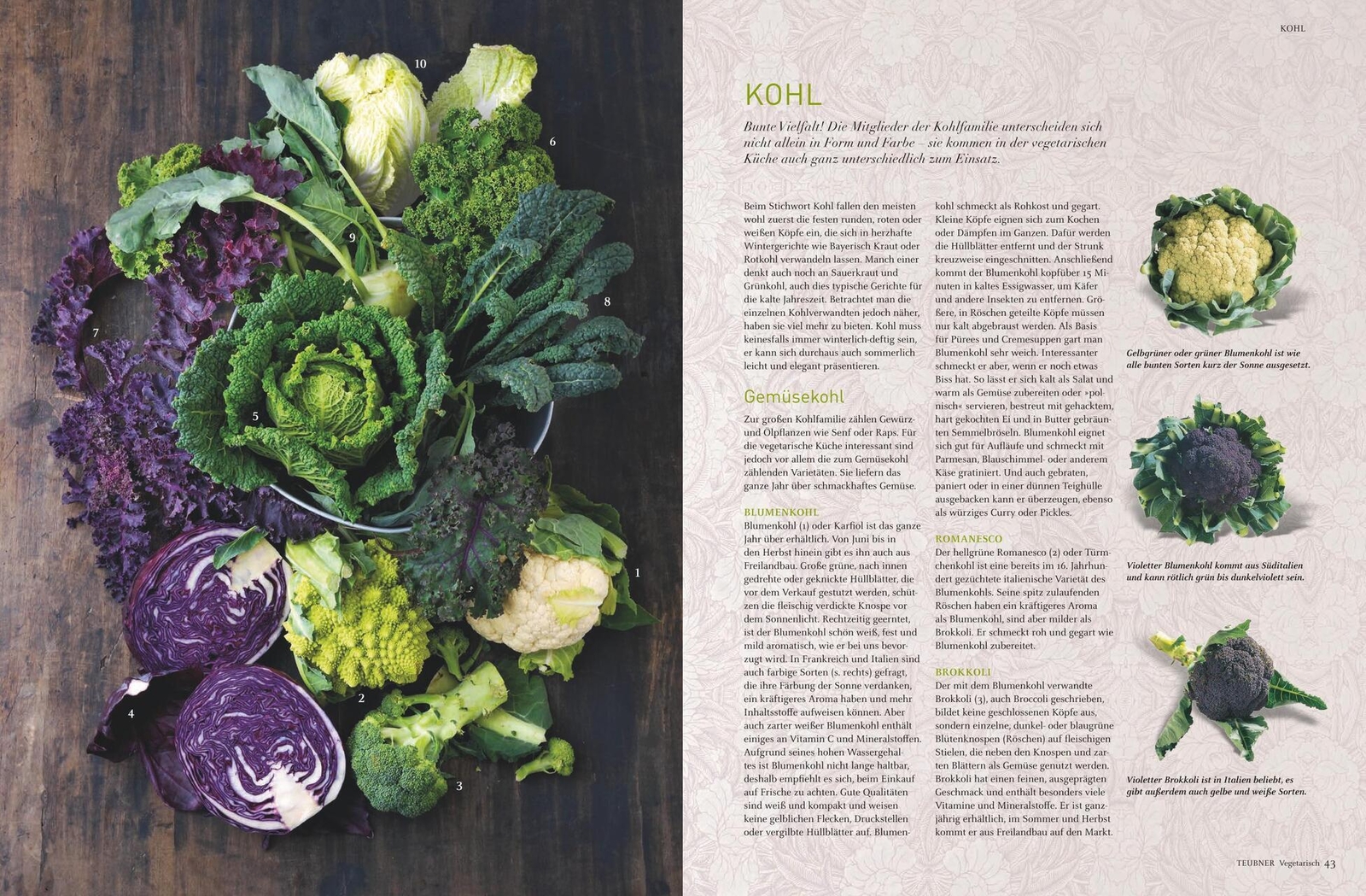 Thumbnail - Margarethe Brunner Teubner Vegetarisch