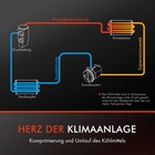 Bild 4 von 8