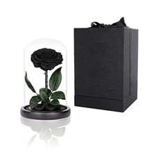 Preserved Roses Black Roses in Glass Dome Medium Real Rose That Last 2 to 3 Y...