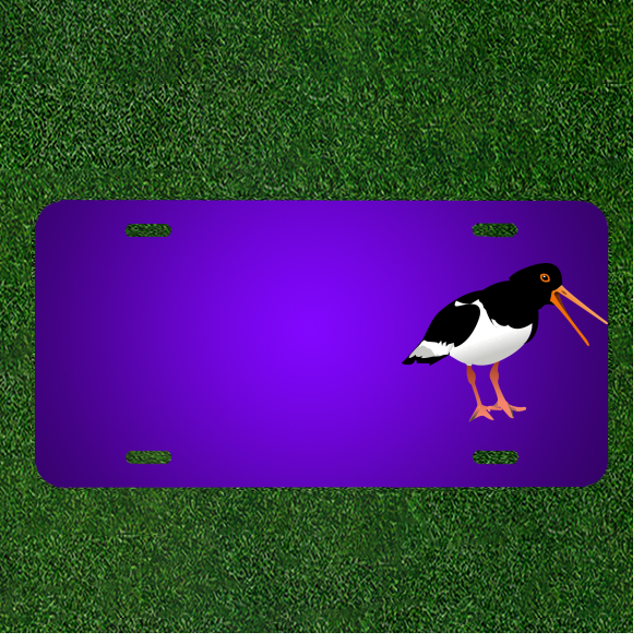 Create Your Custom Personalized License Plate Featuring Add Names to Oyster Catcher Bird Avenue Design