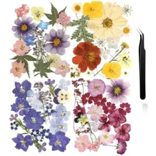 Nuanchu Pressed Flowers Bulk Dried Flower for Crafts, Dried Flower Leave 