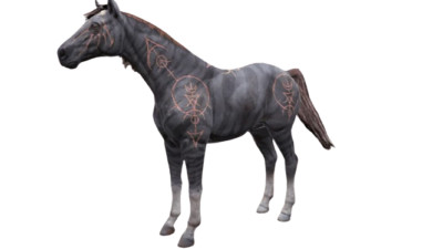   Diablo 4 IV Mount  DLC Code PS4 PS5 Xbox PC Ingame Code  