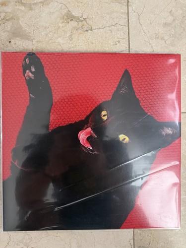 Ryan Adams Big Colors (Vinyl) 12" Album Used