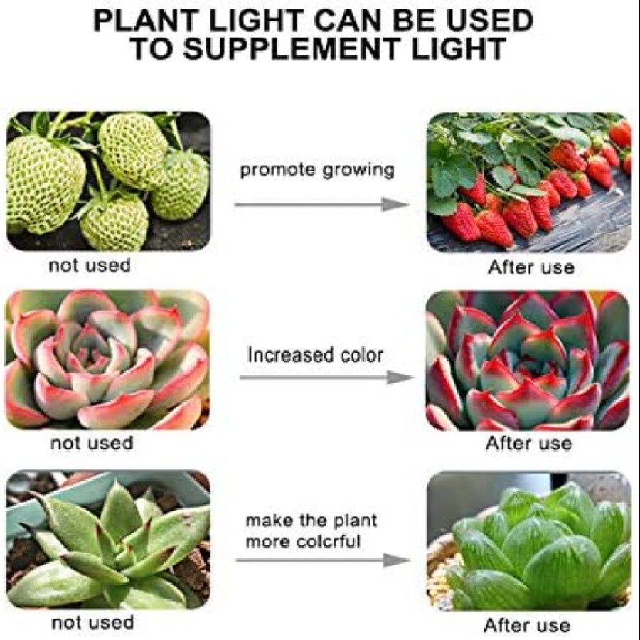 Full Blue Spectrum CTLite E27 60 LED Indoor Grow Lights Full Spectrum for Seed Starting ...