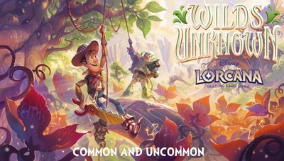 Disney Lorcana Wilds Unknown   Choose Your Card Common and Uncommon