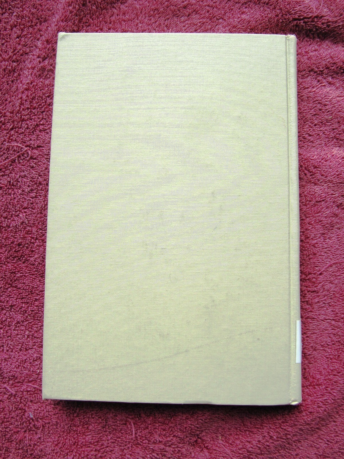 Picture 6 of 6