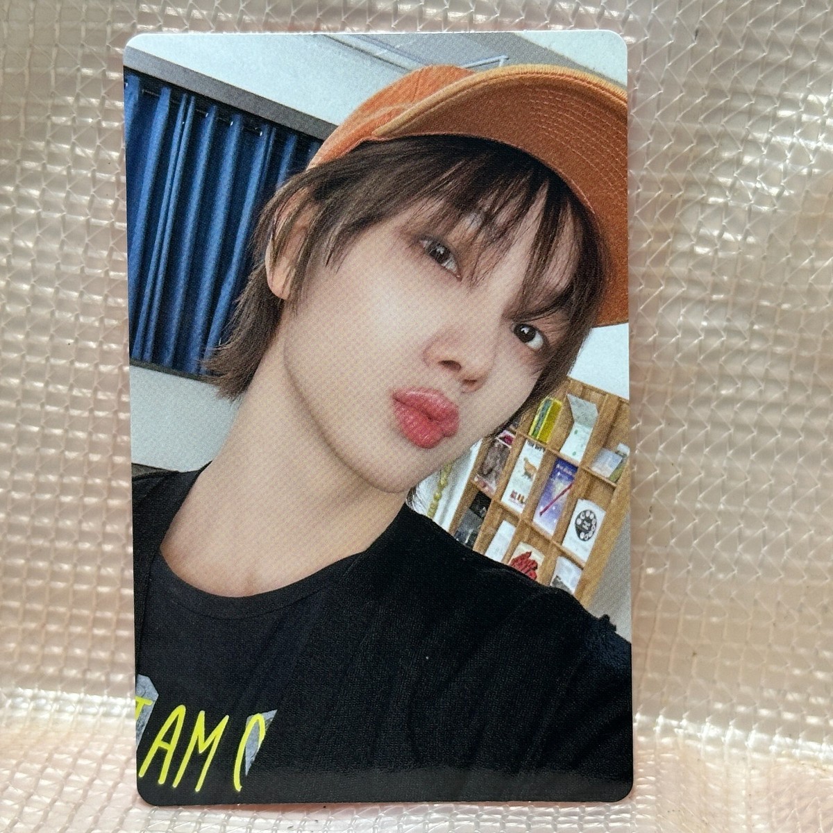 Sungho Official Photocard Boynextdoor 4th EP Album No Genre