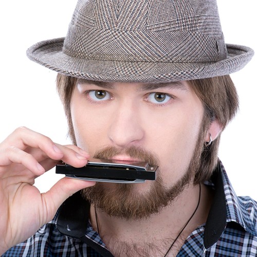 EASTTOP T002 10Hole Harmonica 20Shade Blues Harmonica Mouth Organ Harmonica Gift - Picture 12 of 12