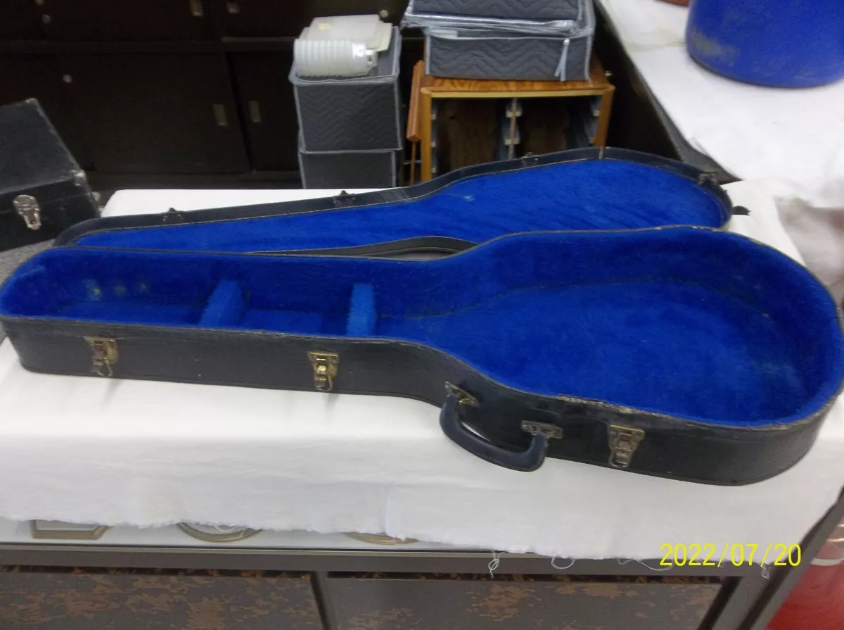 Chipboard 2024 guitar case