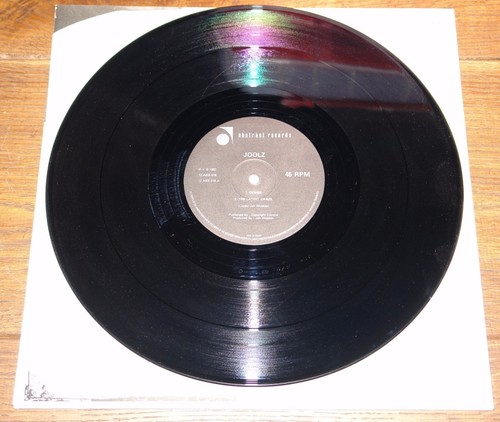 JOOLZ ~ DENISE ~ UK 3-TRACK VINYL 12-INCH SINGLE 1983 W/ PRESS BOOKLET ~ CRASS - Picture 4 of 11