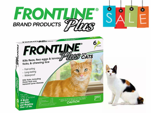 ebay frontline for cats