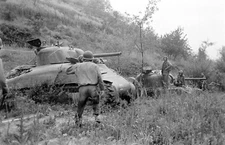 WW2 WWII Photo World War Two / US Army M4 Sherman Tanks Italy May 1944 760th TB