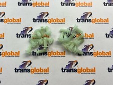 Interior Door Card Fir Tree