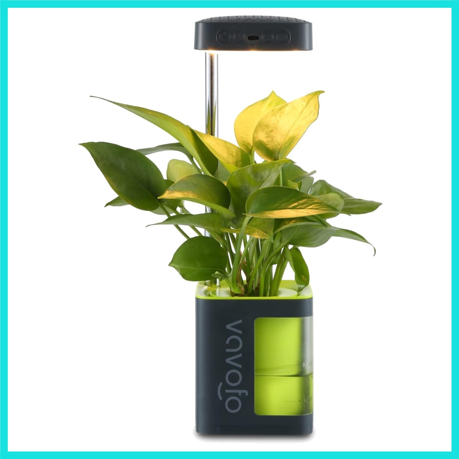 For Indoor Plants Rechargeable Mini Grow Light With Planter,