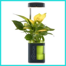 Plant Light for Indoor Plants Rechargeable Mini Grow Light with Planter, Full...