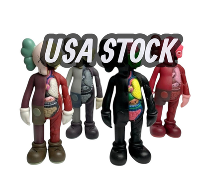 8 inch K Companion Figure Half body Anatomy Statue Deco Art Gift