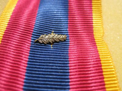 Miniature Bronze Palm Clip for Reminder Bar or Medal Reduction