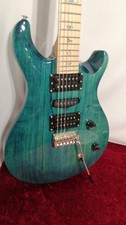 PAUL REED SMITH SE SWAMP ASH SPECIAL Used Ash body Maple fingerboard w/Gig case