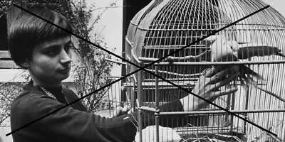 PHOTO OF AGNES VARDA #SupportUkraine