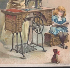 MANCHESTER, NH TRADE CARD, WHEELER & WILSON MFG CO, #9,  CAT, PARROT & MOM  C984