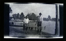 1920s Men Fishing Stringer Catch Fish Vintage Photo Negative Boat 1.8 X 3 G