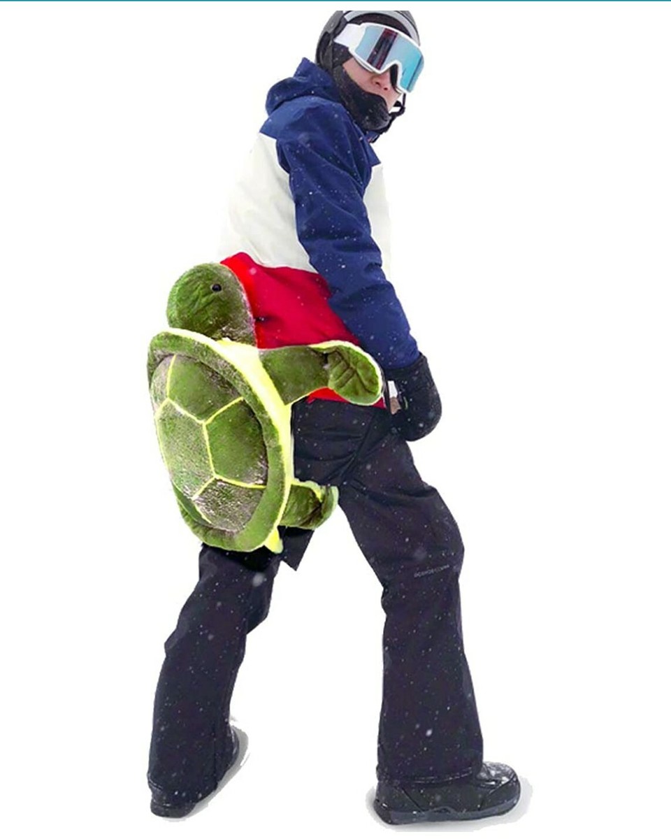 Protective Gear for Skiing Snowboarding Cute Turtle Tortoise