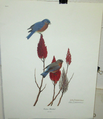 blue＊bird様 orderページ☽⋰ s-l400.png