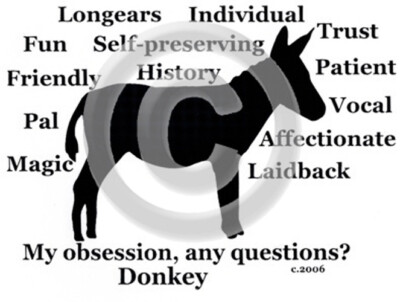 Donkey My Obsession, Any Questions? T-shirt Choices