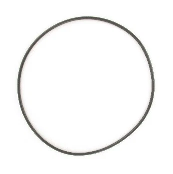 Junta tórica SKF 4079AA para Jeep Commander Grand Cherokee 05-10 Foto 2 de 3