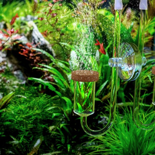USA Shipping Aquarium Nano CO2 Diffuser With Customized Ceramic for Planted Tank - Bild 5 von 8