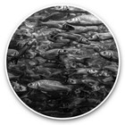 2 x Vinyl Stickers 25cm (bw) - Fish School Ocean Sea Nature  #37985
