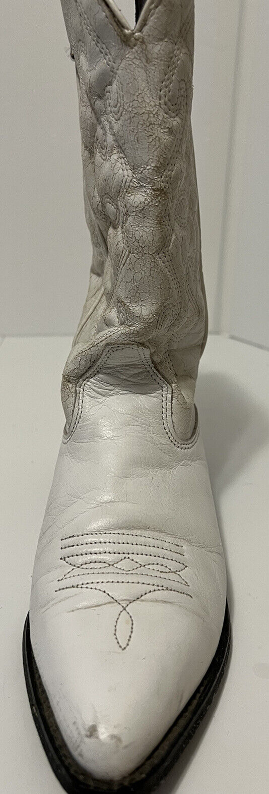 Picture 6 of 12
