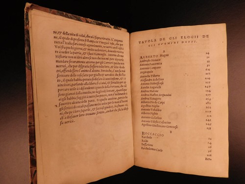 1559 Giovio FAMOUS Lives Erasmus Machiavelli Albert Magnus Thomas More Medici - Picture 5 of 11