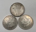 Lot of 3 - U.S. Morgan Silver Dollars - 1889 O, 1889 O, 1890 P, Circulated (M14)