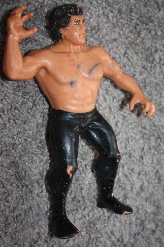 Ricky The Dragon Steamboat WWF Titan Sports Wrestl...