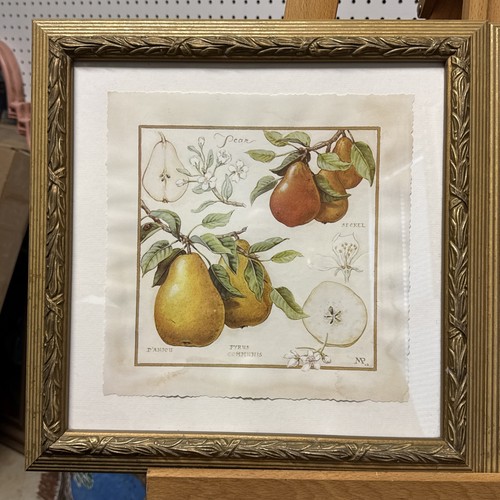 Set Of 2 Southern Living Framed Art Titled A Pear of Pears By Meg Page 15x15 - Picture 2 of 21