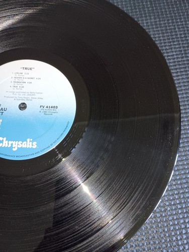 SPANDAU BALLET, True With Hype Sticker LP Vinyl Record - Picture 4 of 18