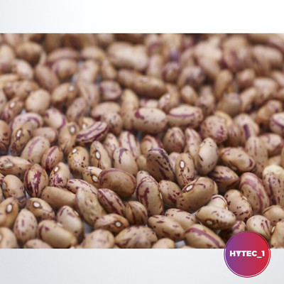PINTO BEANS 1 KG BULK BUY VEGAN HEALTHY LONG LIFE PREMIUM QUALITY