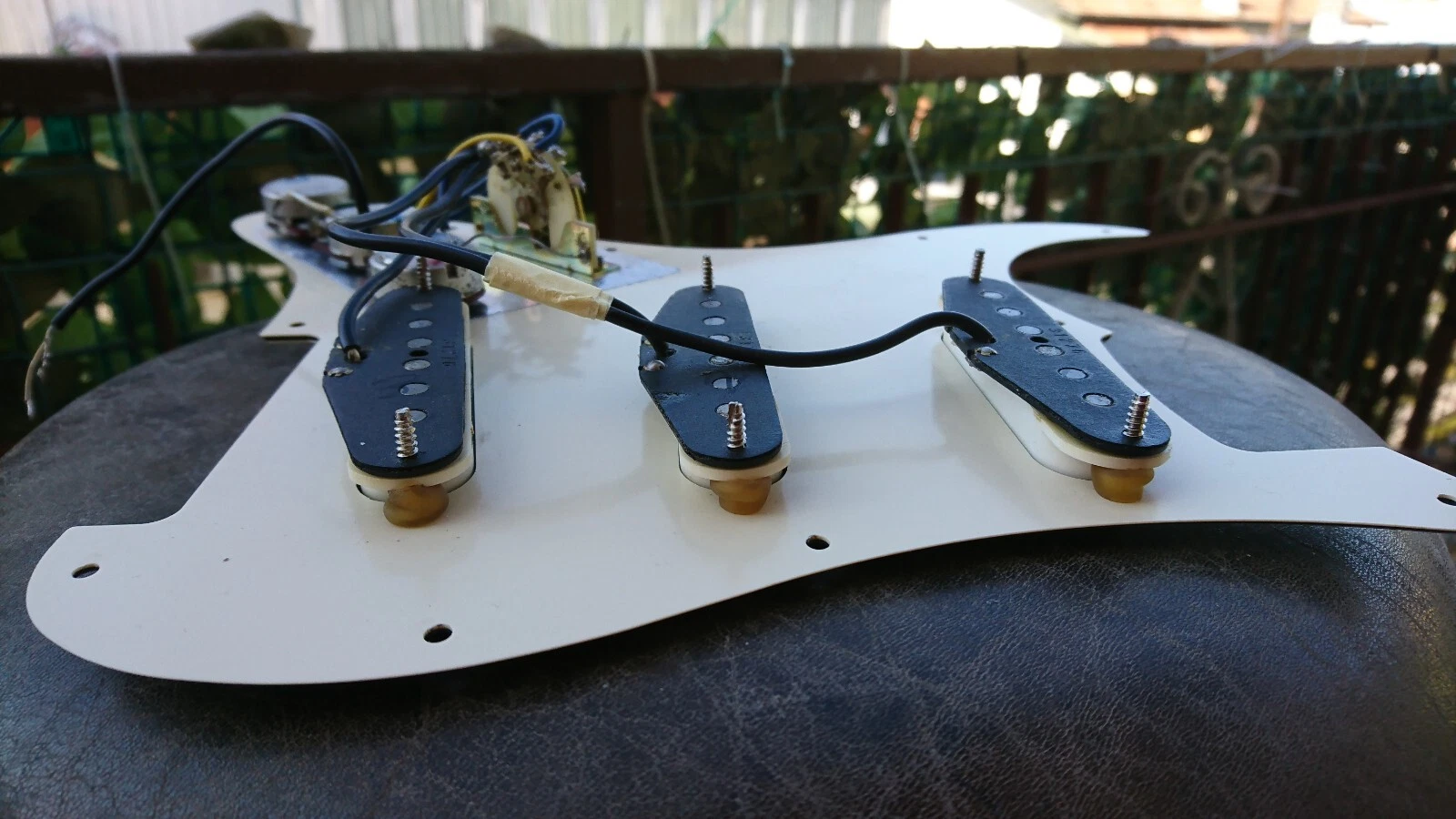 Picture 11 of 24