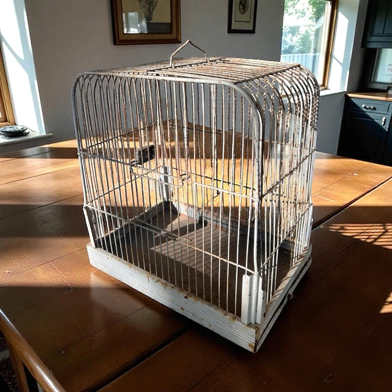 Rustic Metal Hanging Bird Cage Sliding Door Decor