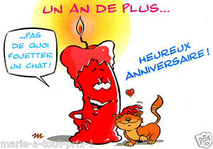 Détails Sur Carte Postale Danniversaire Heureux Anniversaire Un An De Plus Chat Bon Humour