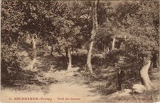Old postcard TUNISIA AIN-DRAHAM (Tunisia) - Foret des Sources (124830)